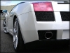 thumbs c170 Detailing de prin lume   Lamborghini Gallardo @ Polished Bliss