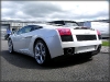 thumbs c172 Detailing de prin lume   Lamborghini Gallardo @ Polished Bliss
